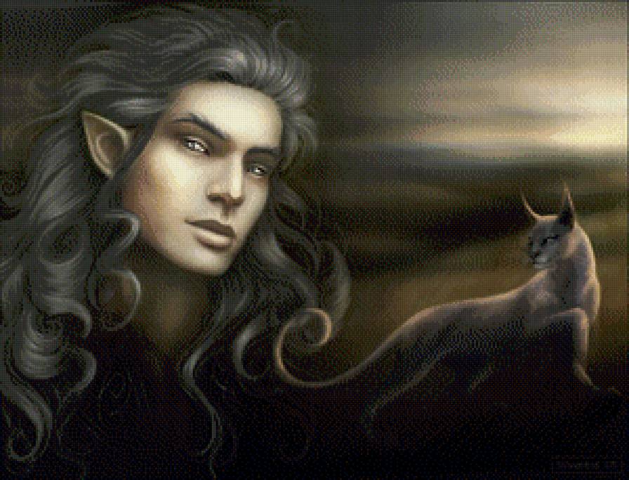 Эльф - фэнтези, парень - предпросмотр