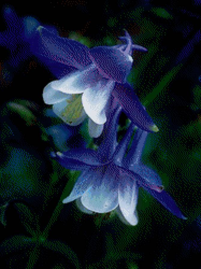 Приют - природа, цветы - предпросмотр