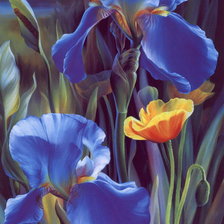 Схема вышивки «цветы»