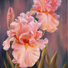 Схема вышивки «цветы»