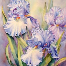 Схема вышивки «цветы»