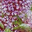 Предпросмотр схемы вышивки «Сирень» (№565550)
