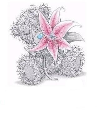 тедди - мишки тедди - оригинал