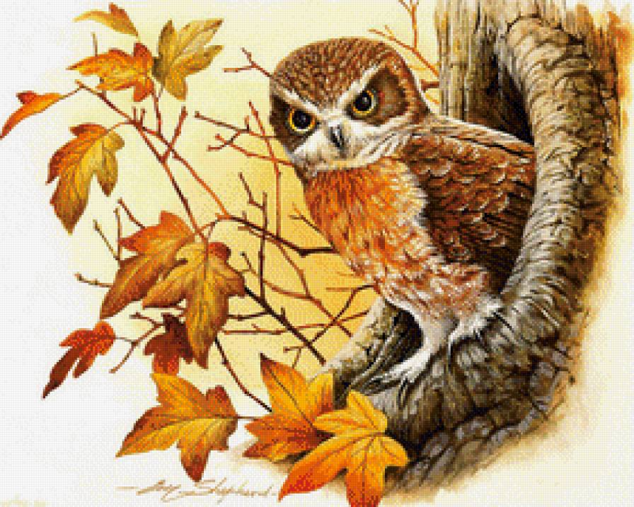 Хищная птица - осень, гнездо, сова, ветка - предпросмотр