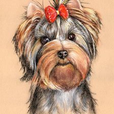 Схема вышивки «Sobačka»