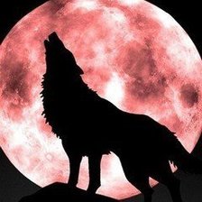 Оригинал схемы вышивки «№565872»