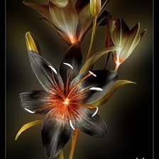 Схема вышивки «№565881»