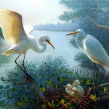 Схема вышивки «птицы»