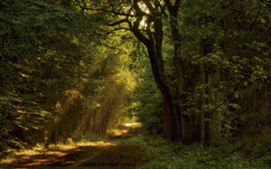 лес - природа, лес - предпросмотр