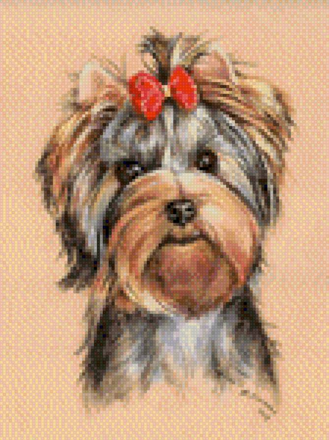 sobačka - životnije, sobaki - предпросмотр