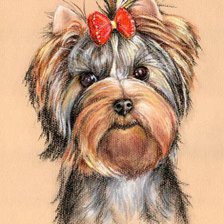 Схема вышивки «sobačka»