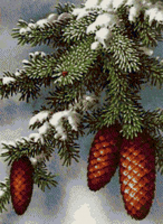 сосна - сосна, шишки, зима - предпросмотр