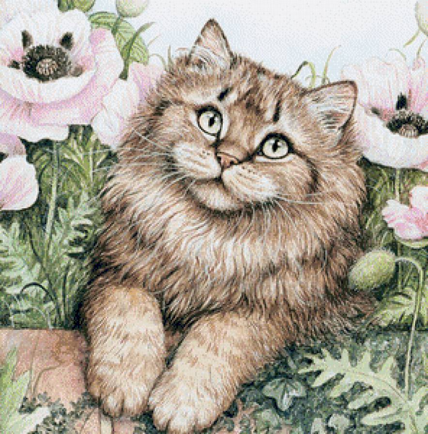 кот василий - котики - предпросмотр