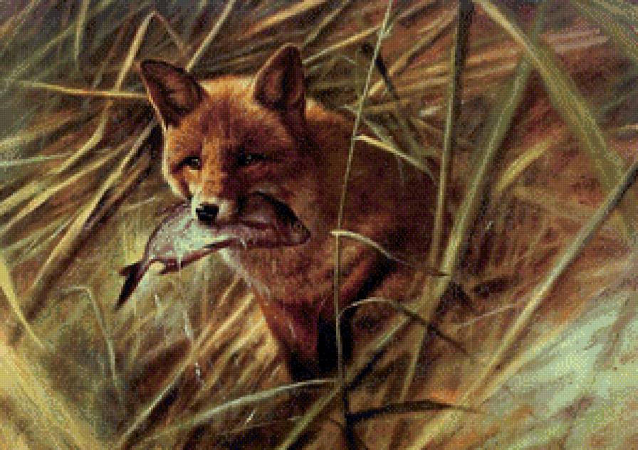 Лиса - живопись, рыба, пуртвлиет, лиса - предпросмотр