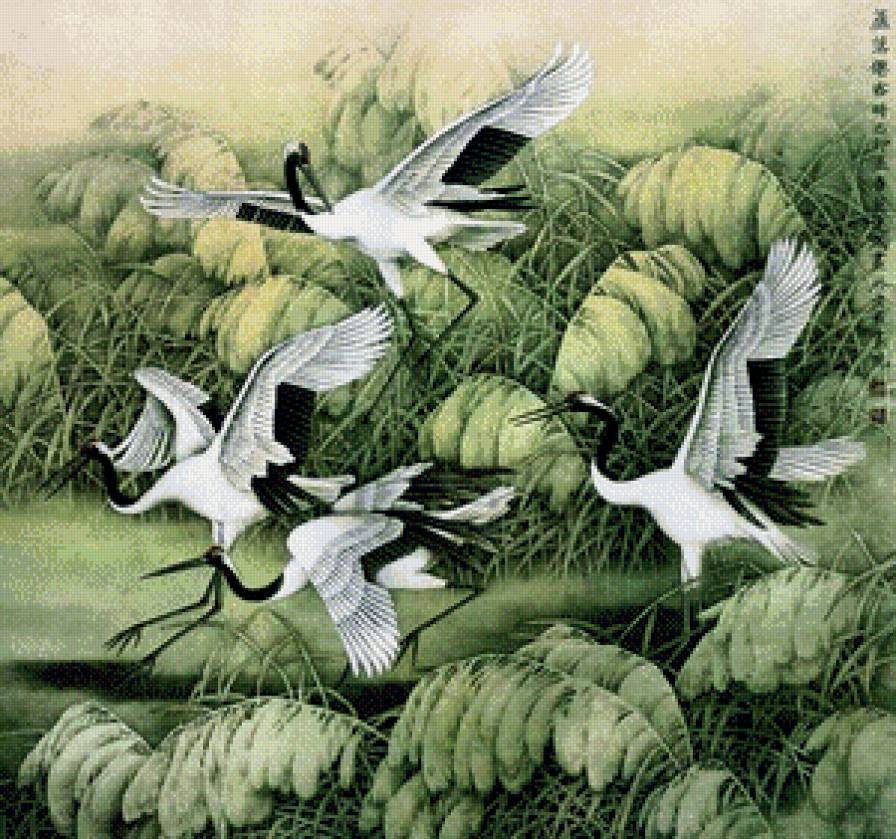 пано журавли - птицы, пано, пейзаж - предпросмотр