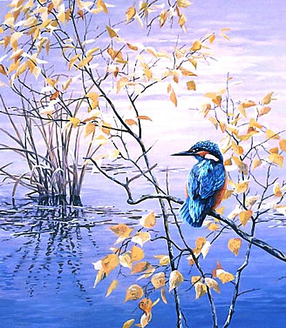 зимородок - зимородок. птицы, листья, пейзаж, осень - оригинал