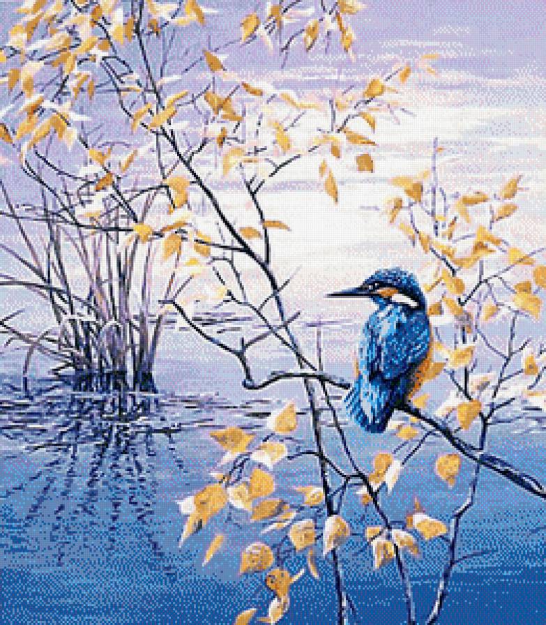 зимородок - зимородок. птицы, осень, листья, пейзаж - предпросмотр