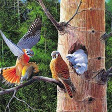 Схема вышивки «добытчик»