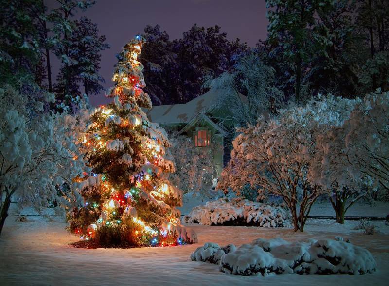 новый год - снег, новый год, избушка, елка, дерево, картина, зима - оригинал