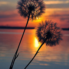 Схема вышивки «серия "закат"»