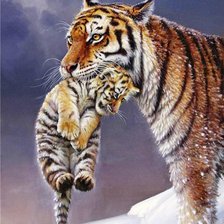 Схема вышивки «№566609»