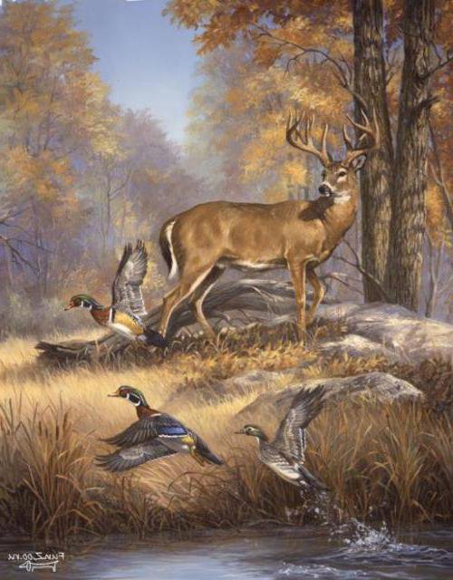 олень осень - пейзаж, олень, осень, лес, природа - оригинал