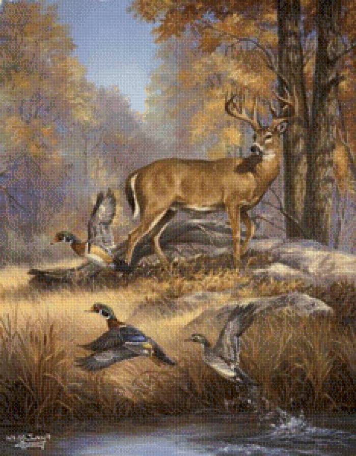 олень осень - природа, осень, пейзаж, лес, олень - предпросмотр