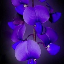 цветы (бисер)