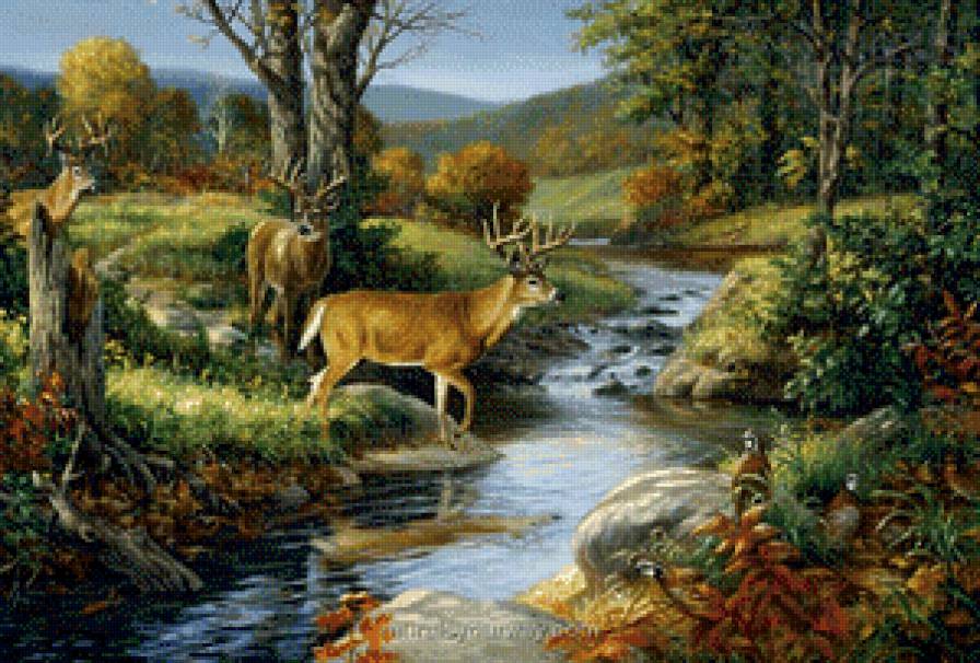 Олени - животные, олени, картина - предпросмотр