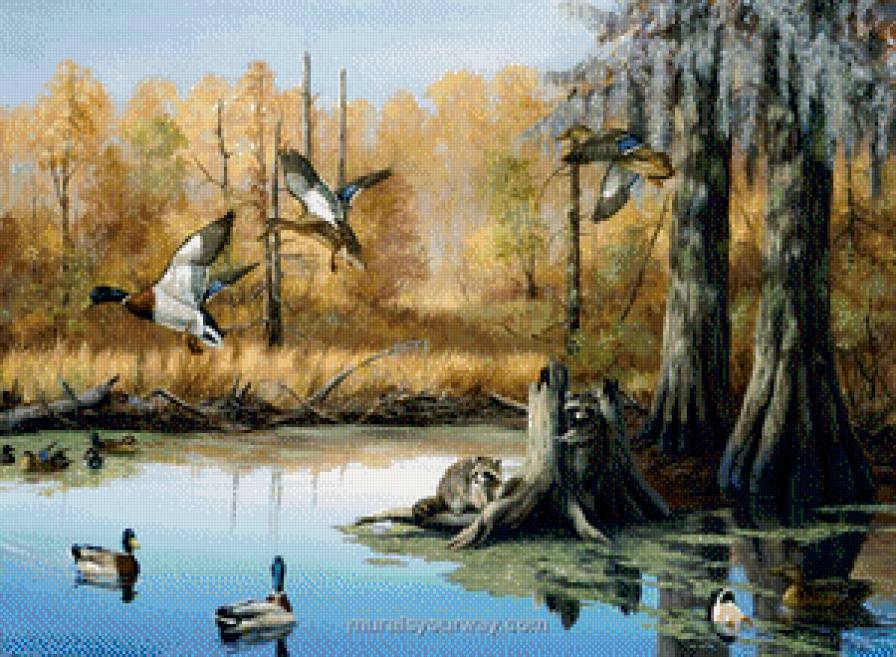 Утки и еноты - еноты, картина, пейзаж, утки - предпросмотр