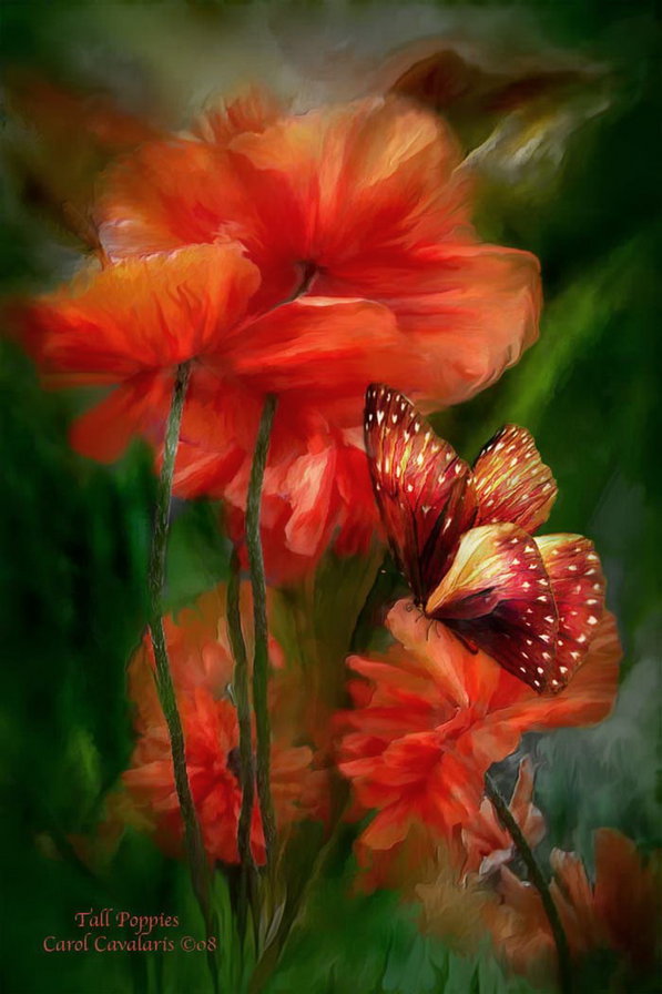 Маки и бабочка - оригинал