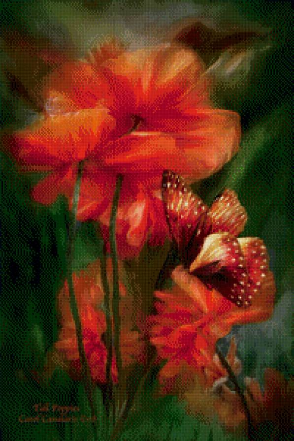 Маки и бабочка - предпросмотр