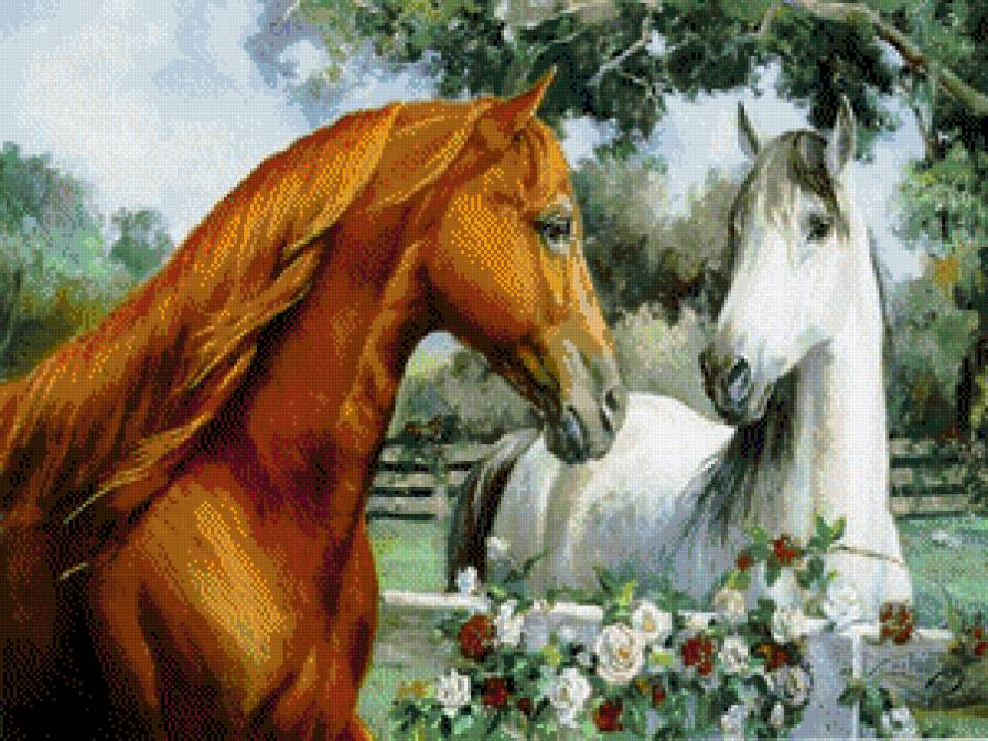 пара - лошади - предпросмотр