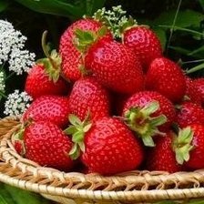 Схема вышивки «№566811»