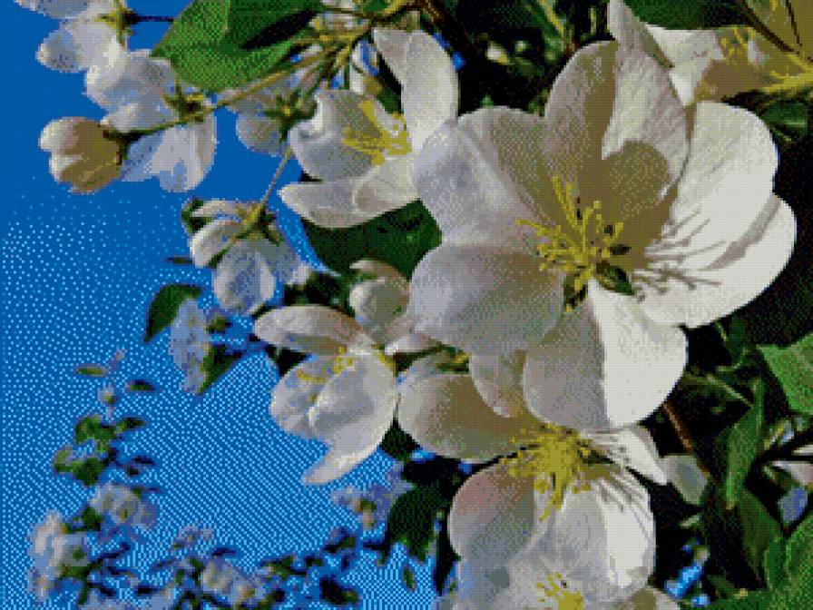 №566814 - цветы - предпросмотр