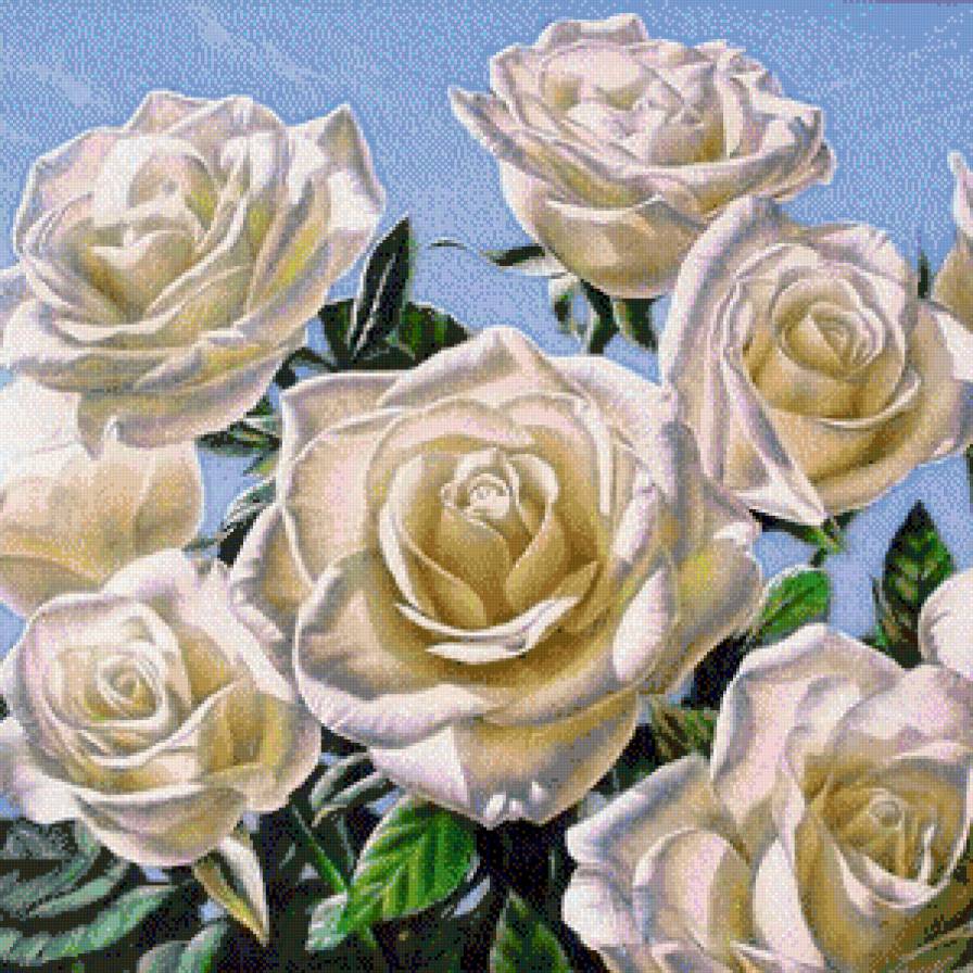 белое чудо - цветы - предпросмотр