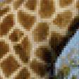 Предпросмотр схемы вышивки «жираф» (№567001)
