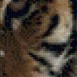 Предпросмотр схемы вышивки «амурский тигр» (№567003)