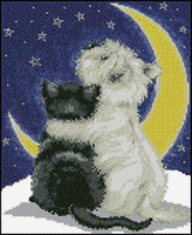 котята - месяц, котята, ночь - предпросмотр