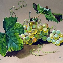 Оригинал схемы вышивки «Виноградная гроздь» (№567828)
