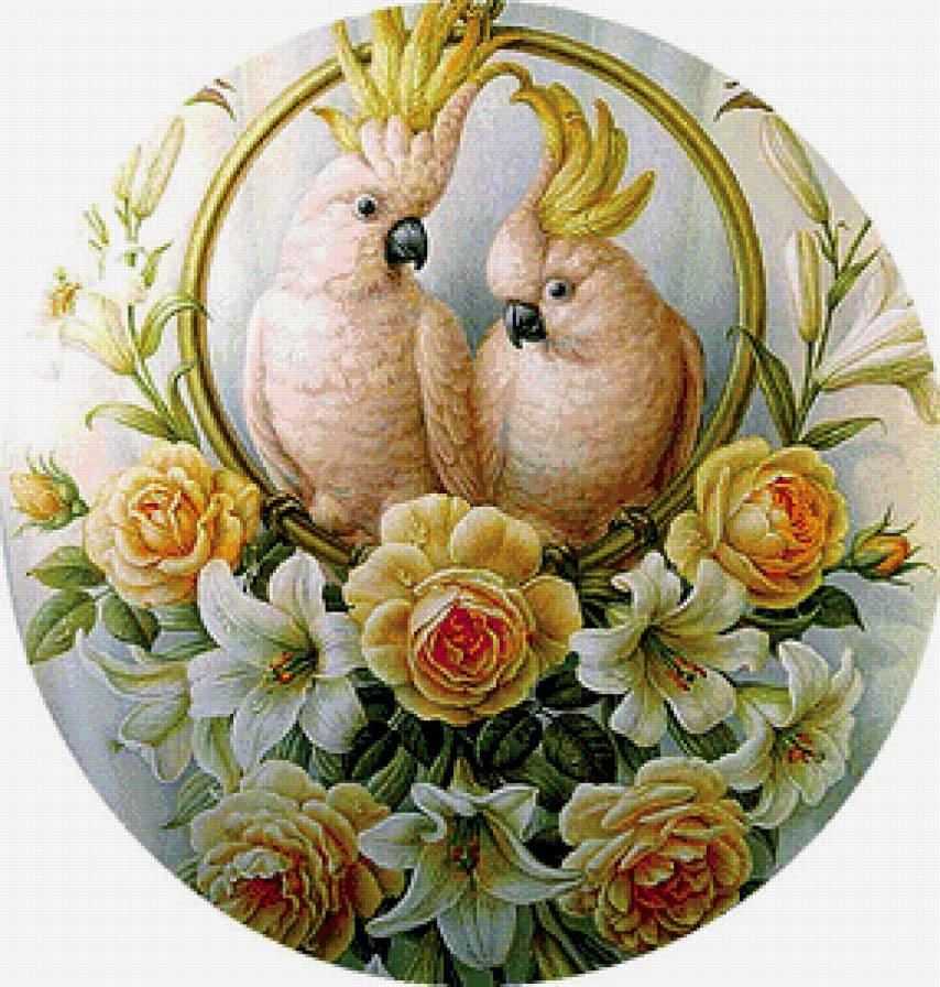 Какаду - предпросмотр