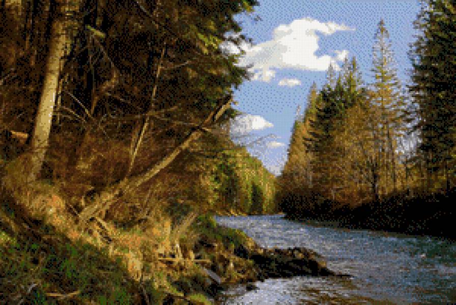 Первозданный лес - лес, ручей - предпросмотр