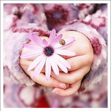 Схема вышивки «мило»