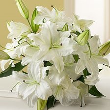 Схема вышивки «Белые лилии»