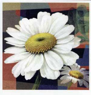 ромашка - цветы, картина - оригинал