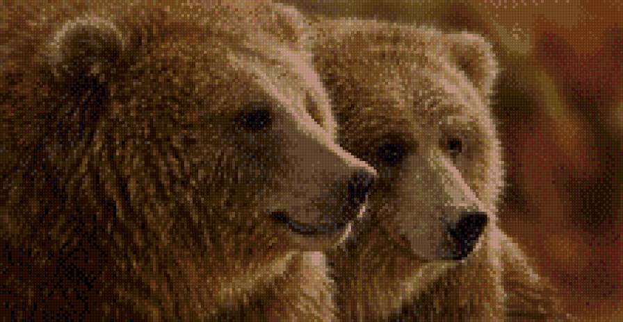 Праздное спокойствие - любовь, бурые, медведи - предпросмотр