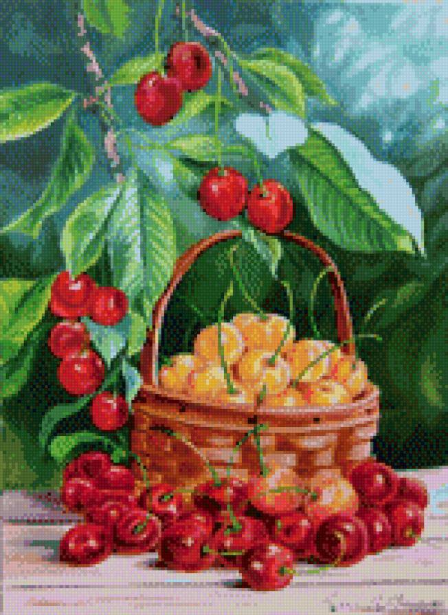 Черешня - предпросмотр