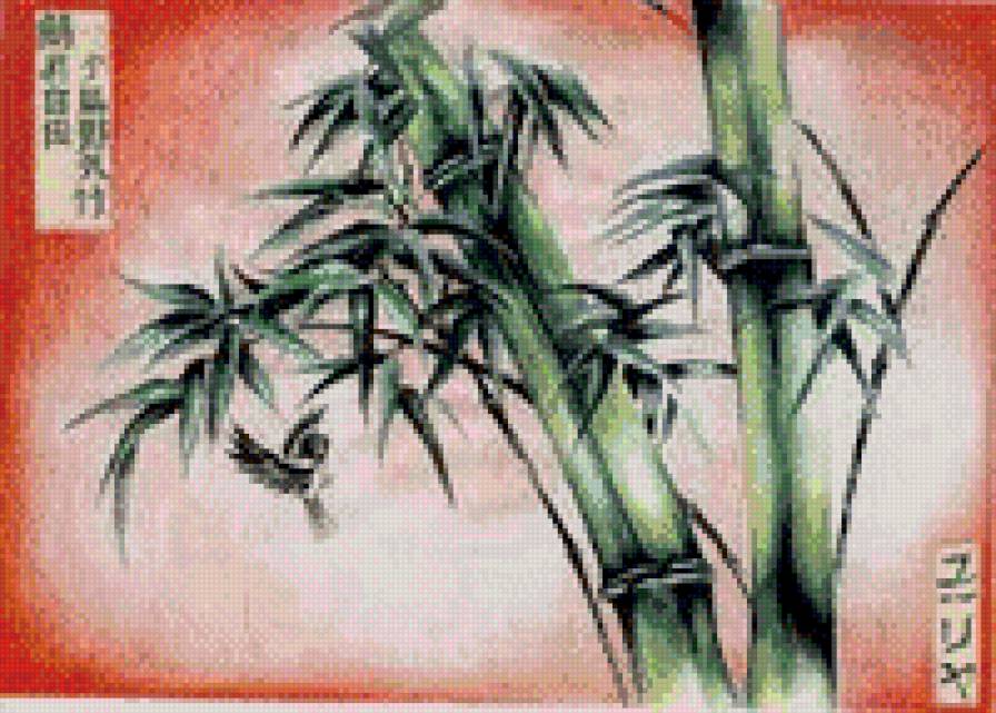 Бамбук - предпросмотр