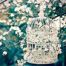 Схема вышивки «клетка»