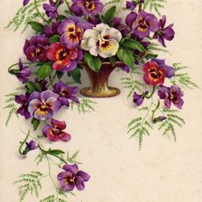 Схема вышивки «анютины глазки»